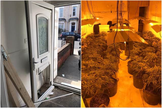 Cleveland Police shared these photos showing the re-enforced door and the cannabis plants being grown inside the house in Grange Road, Hartlepool.