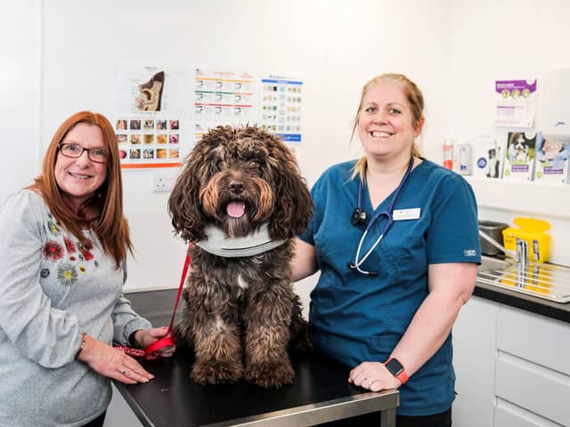 Feeling better: Rolo with his owner Joanne Ogden (left) and Sarah Crawford, of Clifton Lodge Vets, who saved his life.