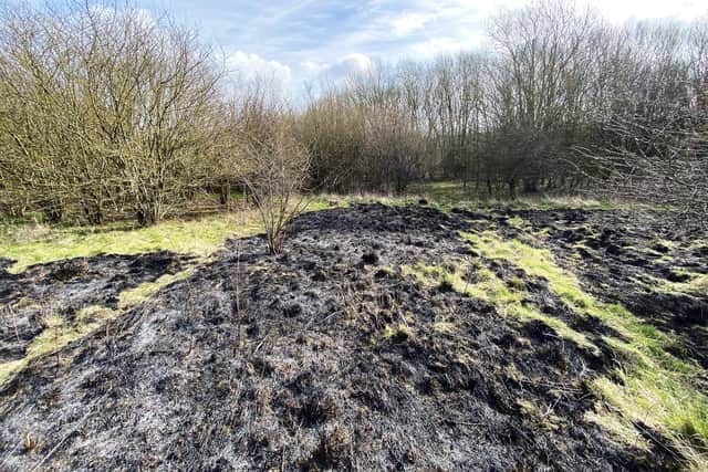 The area of grassland at Summerhill Country Park that was set on fire. Photo:Frank Reid