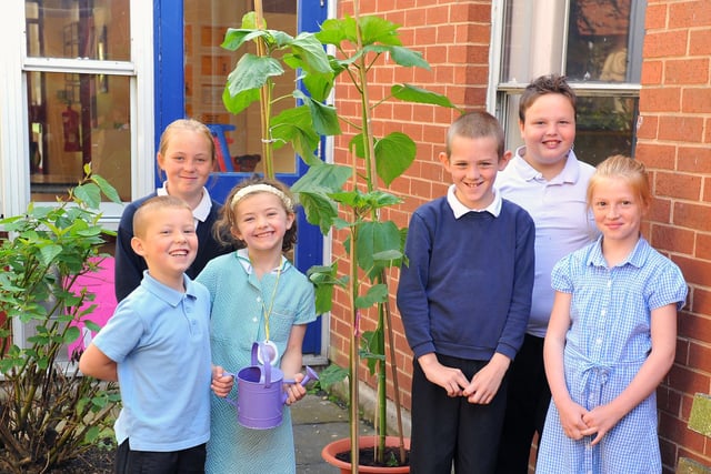 Ellie Dolman, James Wynne, McKenzie Brown, Amy Nicholson, Liam Robertson and Kelsey Smith pose with their sunflowers in 2012.