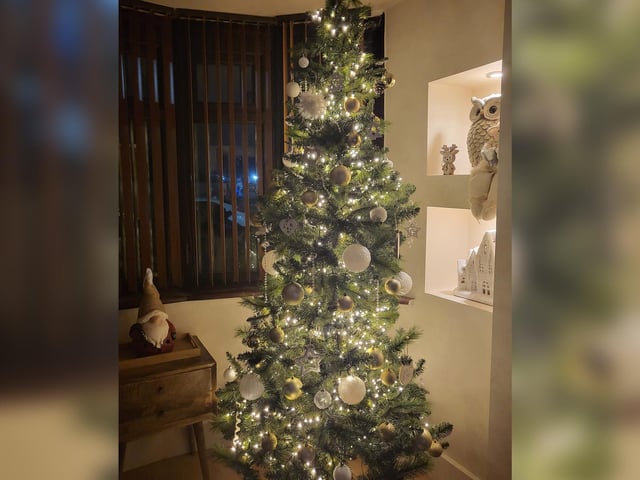 Can you spy Santa watching over the tree?