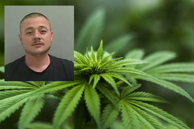 Ferbent Hohxa was arrested at a cannabis farm in Hartlepool.