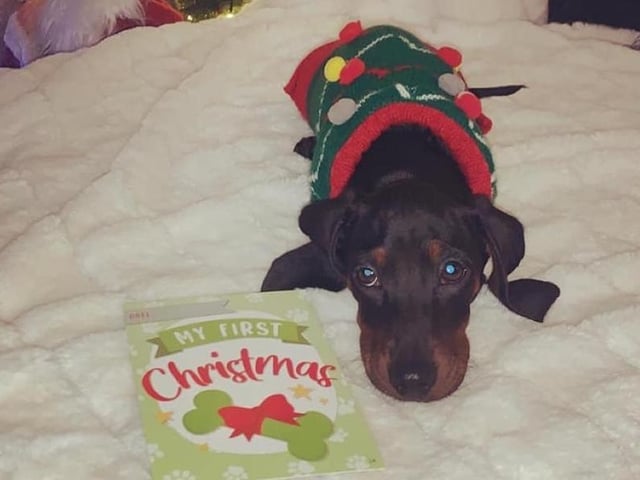 A special time for Chester and his family as they celebrate his first Christmas.