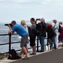 Crowds gather at the Headland to picture the tall ships leaving Hartlepool on Sunday. Picture by BERNADETTE MALCOLMSON.