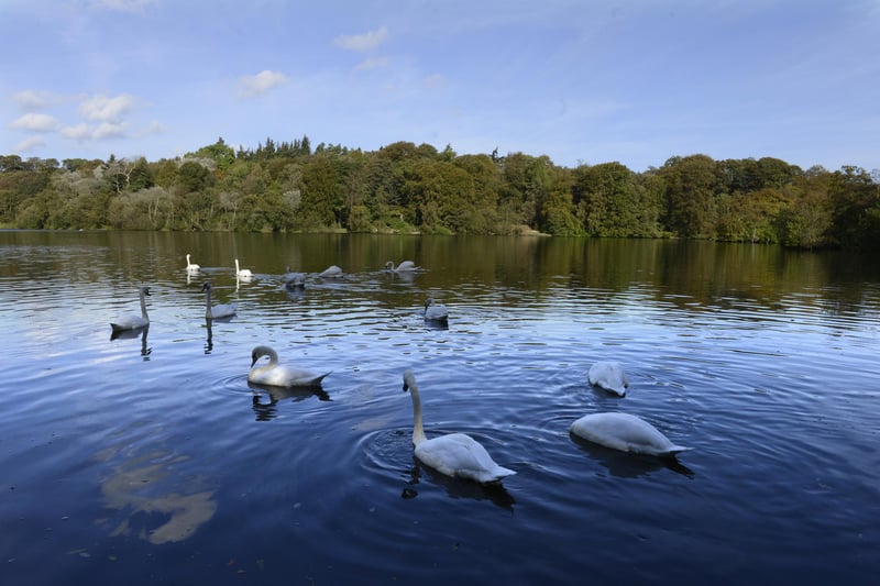 Bolam Lake, near Whalton, some nine miles west of Morpeth, has lakeside, woodland and open grassed areas for all to enjoy with the attractive lakeside walk being accessible for wheelchairs and pushchairs.