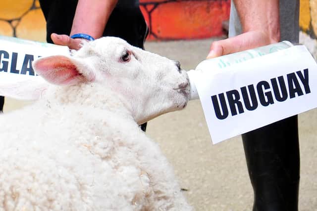 World Cup Woollie predicted England's defeat against Uruguay at the 2014 World Cup. Do ewe remember this?