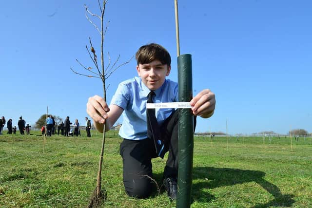 Beau Dixon of Dene Academy planted this tree with great precision.