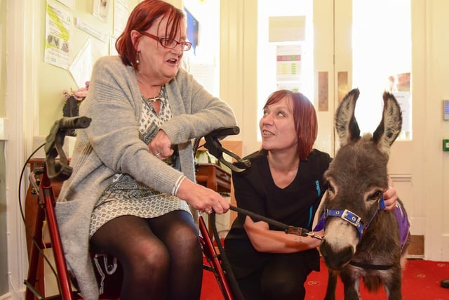 Teddy the Donkey from Blackberry Donkeys visited Dinsdale Lodge Care Home,  in Station Lane, Seaton Carew, in 2018. Here he is with Bobbie Johnson and deputy manager Wendy Dick.
