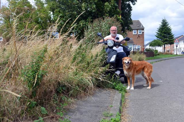 Greatham resident Stephen Smith with his dog Molly has concerns about overgrown grass onto the footpath on Marsh House Lane in the village.