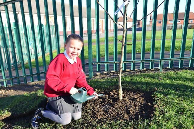 West View Primary school pupil and Eco Warrior team member Poppy Rowbotham plants an apple tree earlier this year after the school was presented it as a reward for its successful Fundraise and Recycle scheme.