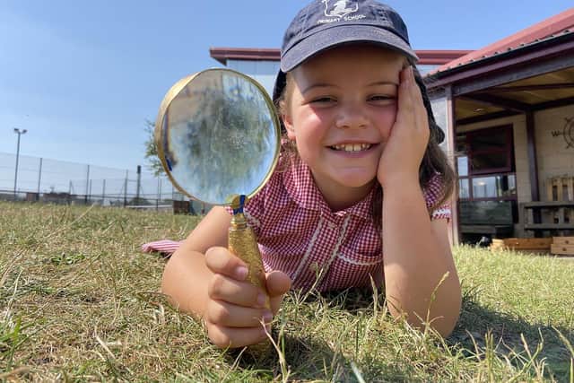 West View Primary School pupil Eva Armes goes bug hunting.  Pupils have been coming up with changes to help wildlife.