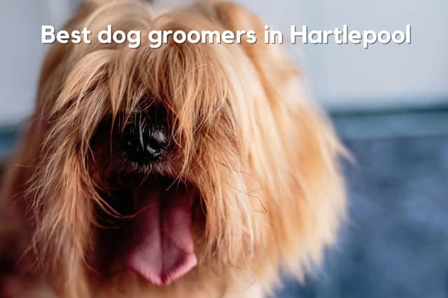 Hartlepool Mail readers have been shouting out their favourite dog groomers across town.