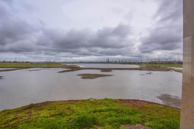 View from the new Saltholme Pools Hide at RSPB Satholme, Station Carew Road, Stockton