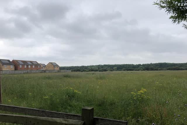 A bid to build dozens of new houses on land to the rear of Seaton Meadows has received a boost.