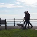 Dog walkers on the promenade Seaton Carew, Hartlepool. Picture by FRANK REID