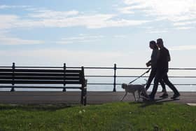 Dog walkers on the promenade Seaton Carew, Hartlepool. Picture by FRANK REID