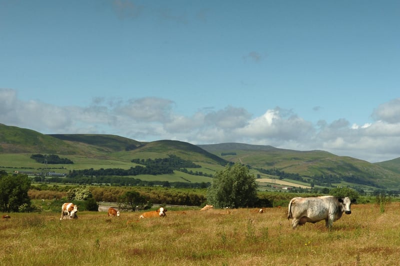 The Cheviots straddle the Anglo-Scottish border, with Cheviot itself peaking at 815m. Now while that is only for the dedicated, there are lots more family friendly walks in the foothills such as Harthope and College Valley. Always be prepared for bad weather.