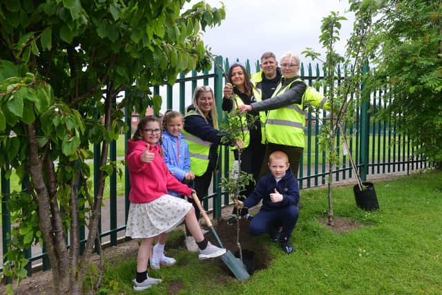 West View Primary School have so far received three apple trees.