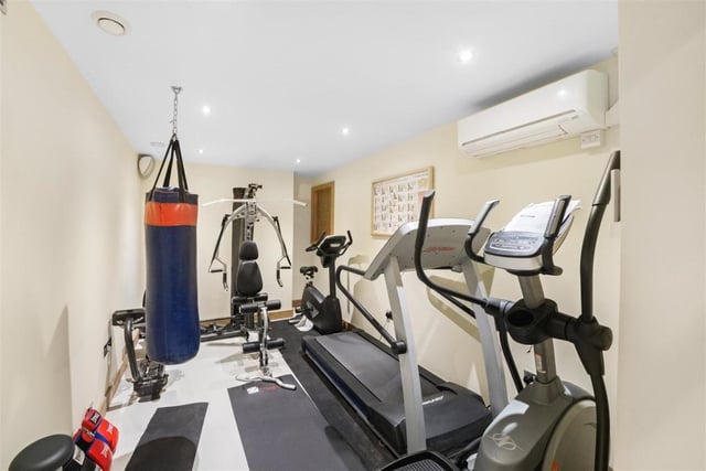 The basement level of the home is complete with a gym.