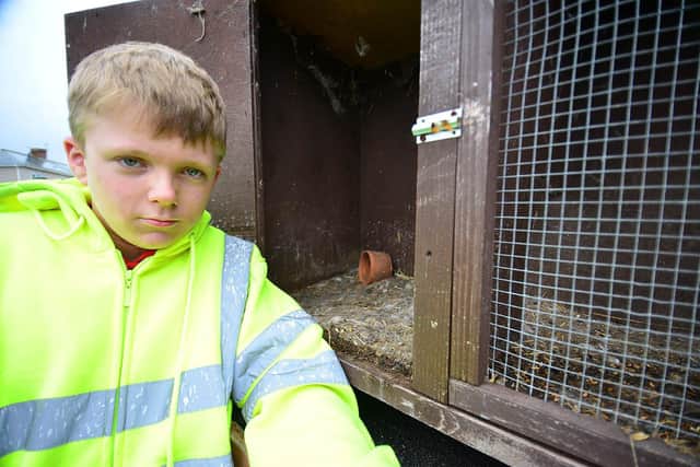 John Hayes aged 13 at one of his empty rabbit cages on Burn Valley allotments. Picture by FRANK REID