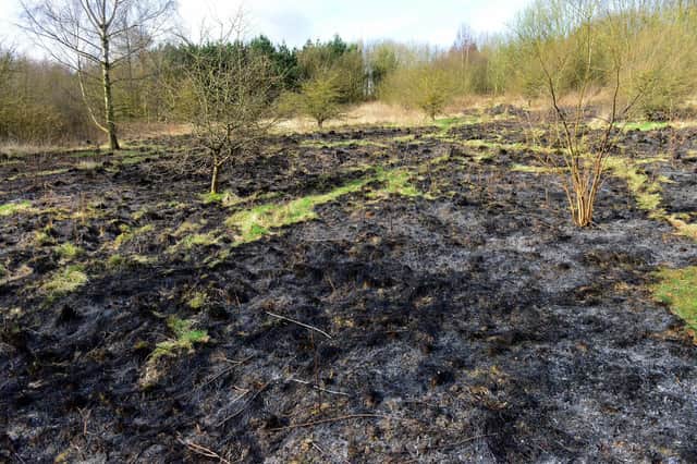 An area of grassland at Summerhill Country Park that was set on fire in March.