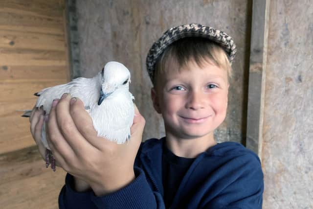 Darren Brown holds his favourite pigeon.