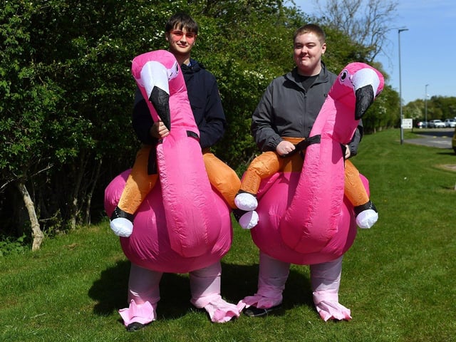 These Poolies hitched lifts to the game from pink flamingos.