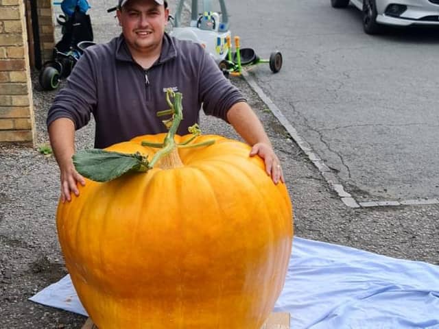 The pumpkin had been growing since March.