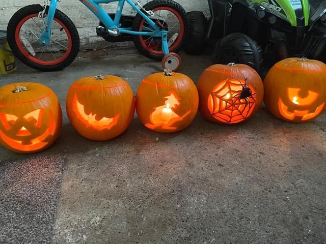 Look at the size of that spider! Celebrating National Pumpkin Day and Halloween with Shorlene Cleere.