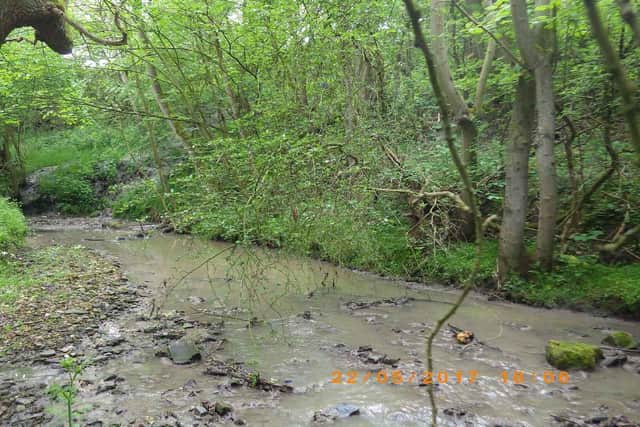 A 2km stretch of the stream was affected