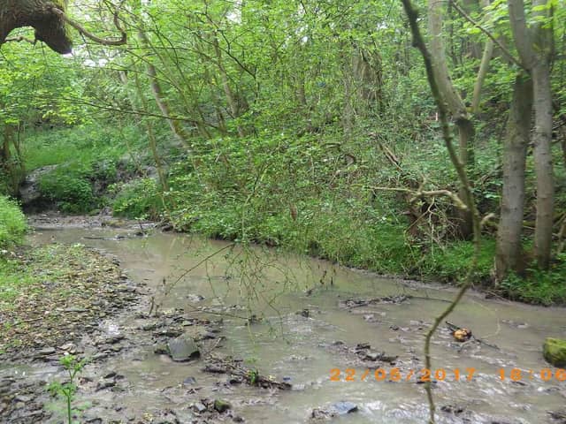 A 2km stretch of the stream was affected