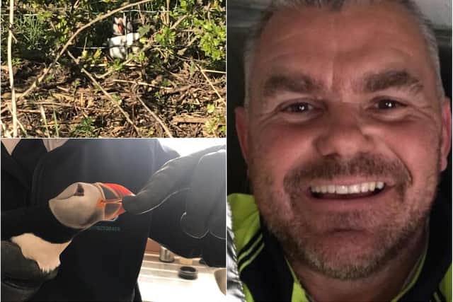 Stephen Ward has spoke of his surprise after finding a puffin while out walking his dog in County Durham.