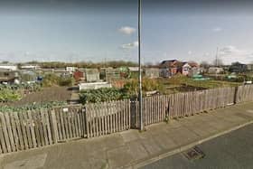 Haswell Avenue allotments