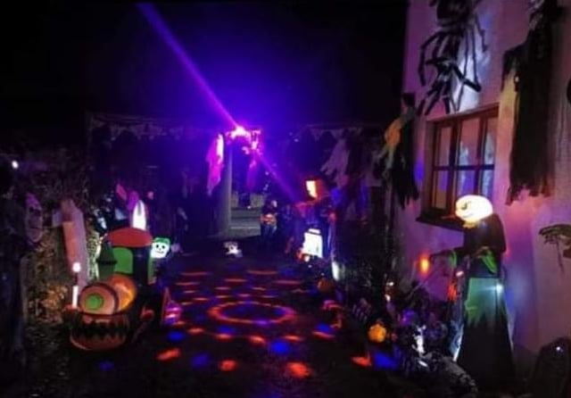 Do you dare take a walk through this gruesome garden? See how many frightening faces you can spot.