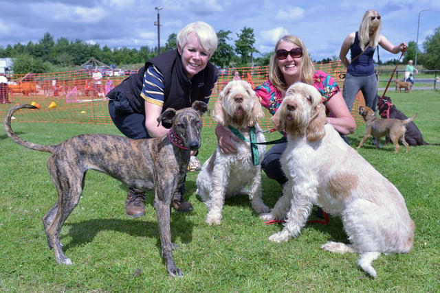 Diane Dignen (left) and her Lurcher, Poppy, enjoys a day out at Summerhill Country Park in 2014 alongside Beverley Nicholson and her Italian Spinone dogs Lilly (centre) and Daisey at the dogs day out event held at Summerhill Country Park.