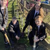 English Martyrs School pupils plant their sapling during the event at Summerhill Country Park. Picture by FRANK REID