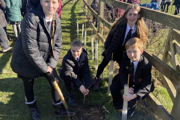 English Martyrs School pupils plant their sapling during the event at Summerhill Country Park. Picture by FRANK REID