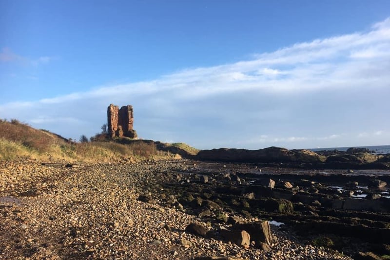 It's amazing what you can find on a day out on the Fife coast. The beach next to Seafield Tower (pictured), in Kirkcaldy, is littered with fossil remains of sea creatures including corals, crinoids and even sharks' teeth. Head to Crail for giant millipede tracks and fossilised tree stumps, or enjoy a walk on the coast at Kingsbarns while looking out for perfectly preserved tree roots, leaves and shells.
