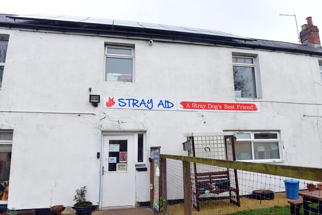 Contact Stray Aid, which is based in Coxhoe, County Durham, via strayaid.org.uk.
