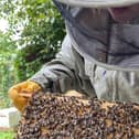 Hartlepool Folk Festival is looking to bring beekeeping to communities.