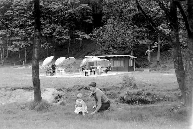 The tea hut pictured through the trees at Crimdon. Does this bring back happy memories? Photo: Hartlepool Museum Service.