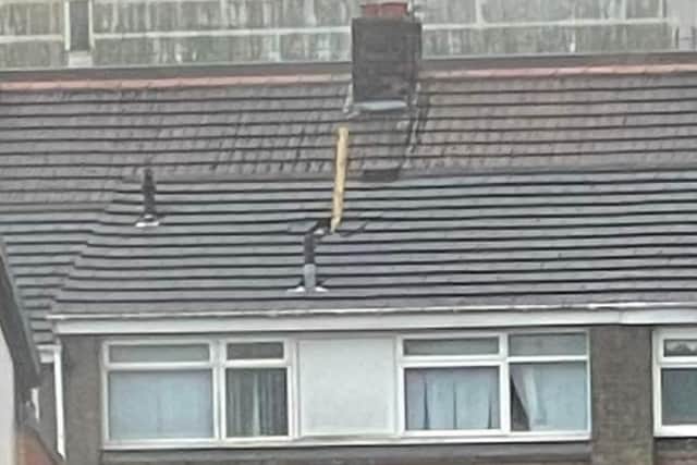 The plank hit the roof of Toyah Scott's house.