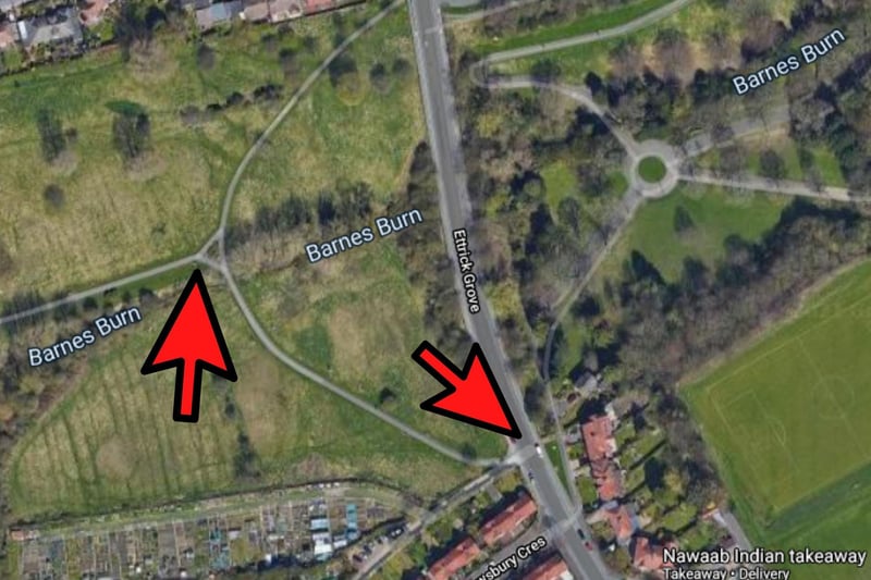 Instead of taking the left path back to Ettric Grove, take a right up the bank, cross the road and take the steps immediately opposite down into Barnes Park. Follow the path back to the main car park.