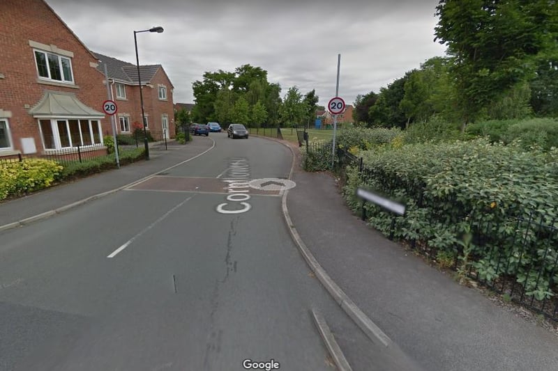 On or near Cornflower Drive, Bessacarr: One reported incident