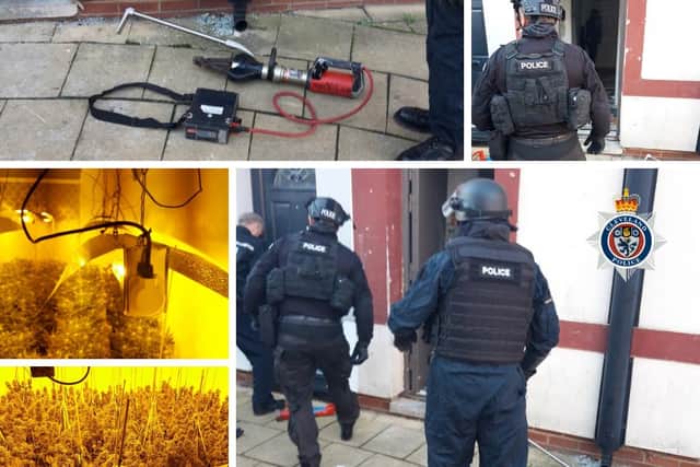 Nearly 300 cannabis plants were found during drug raids in Hartlepool on Thursday./Photo: Cleveland Police