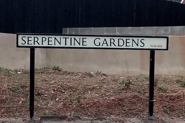 The incident happened at Serpentine Gardens, Hartlepool.