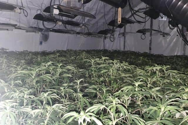 Police in Hartlepool uncovered this cannabis farm in Raby Road during 2020.