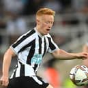 Newcastle United's Matty Longstaff makes Colchester United debut against Hartlepool United. (Photo by Stu Forster/Getty Images)