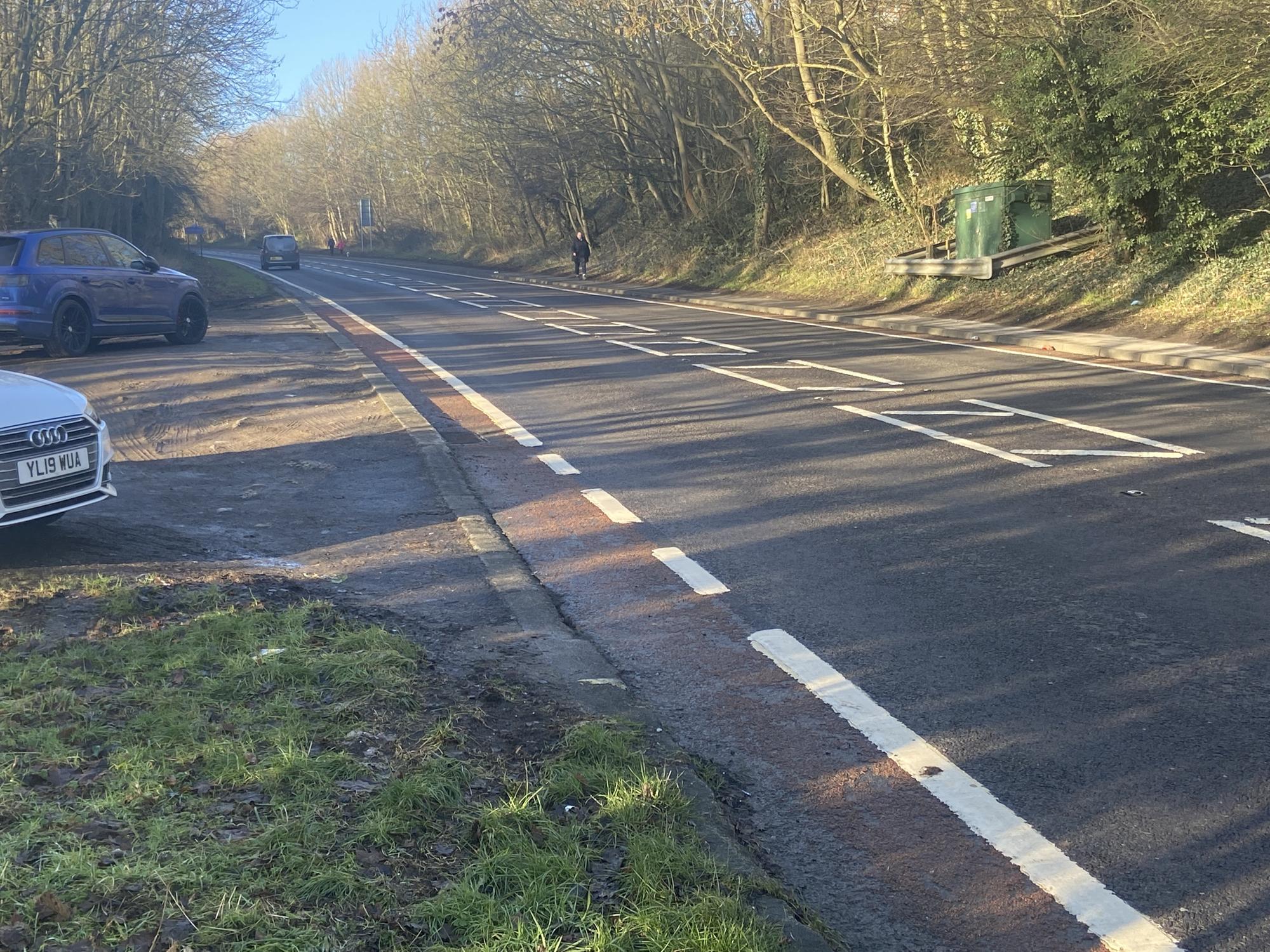 Woman cut free from car after sustaining 'multiple injuries' in crash ...