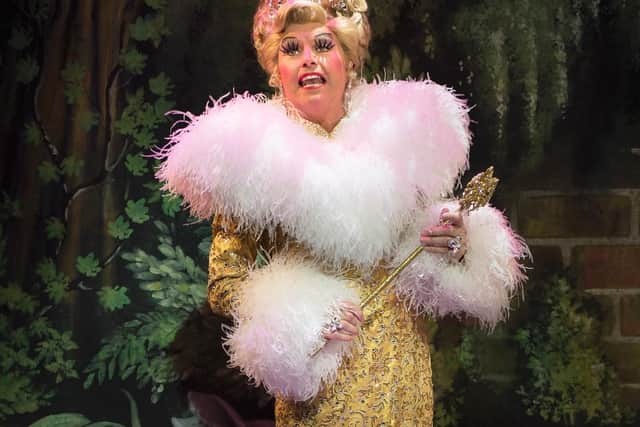 Fairy Godmother
